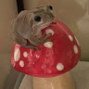 Meet your Posher, Chloe